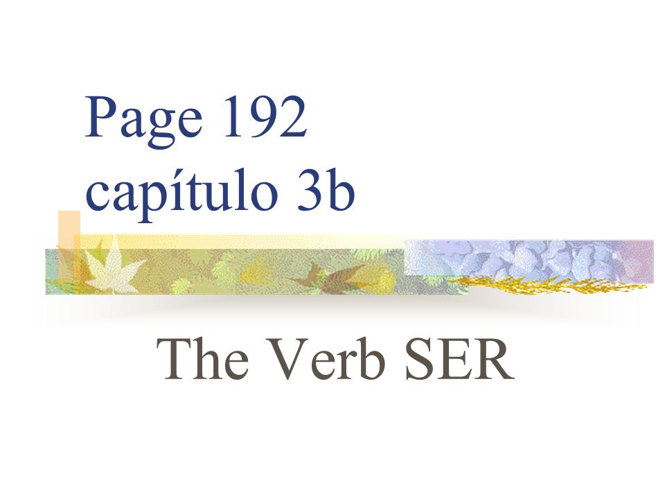 Page 192 capítulo 3b The Verb SER