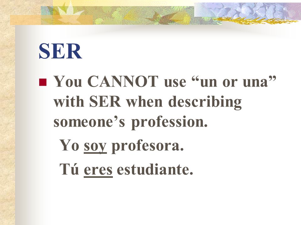 SER You CANNOT use un or una with SER when describing someone’s profession.
