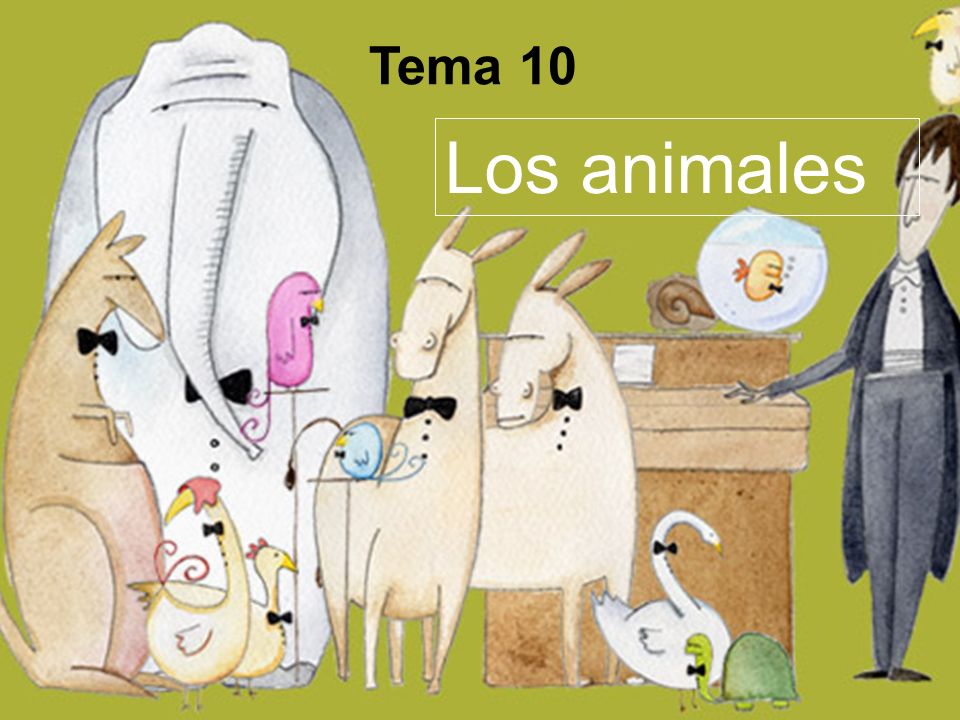 Tema 10 Los animales