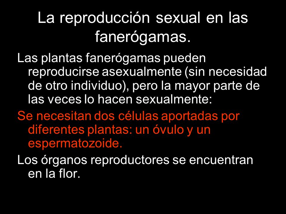 La reproducción sexual en las fanerógamas.