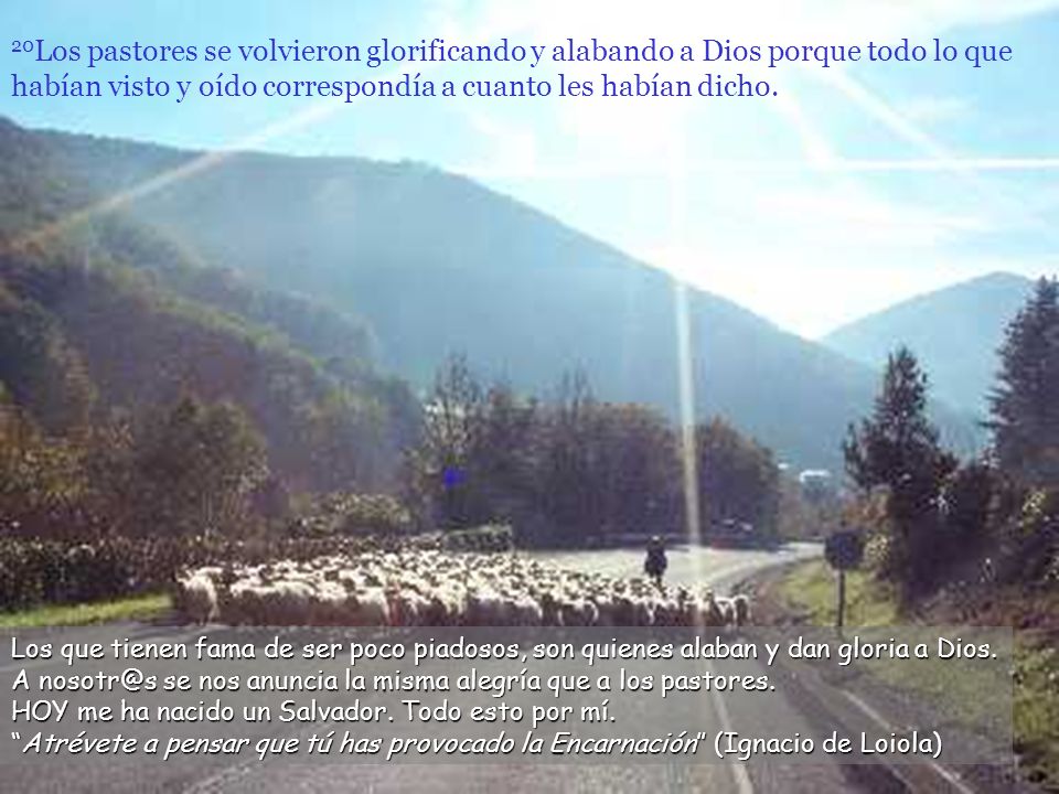 20Los pastores se volvieron glorificando y alabando a Dios porque todo lo que habían visto y oído correspondía a cuanto les habían dicho.