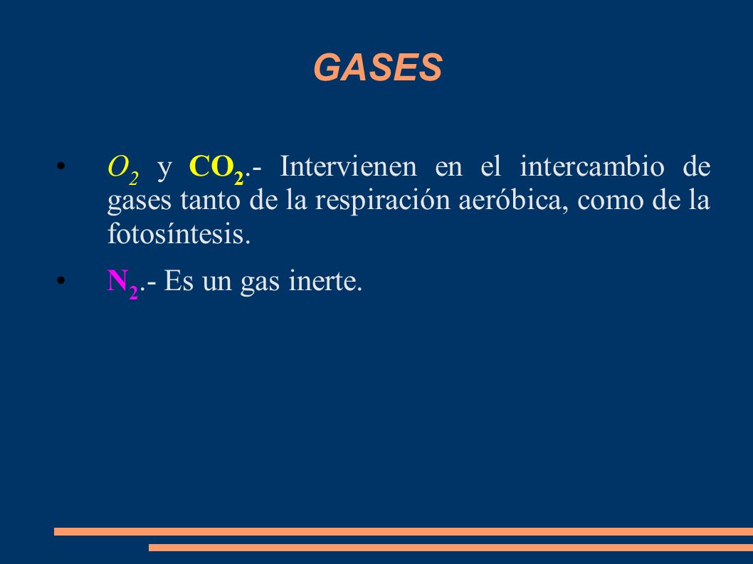 GASES O2 y CO2.- Intervienen en el intercambio de gases tanto de la respiración aeróbica, como de la fotosíntesis.