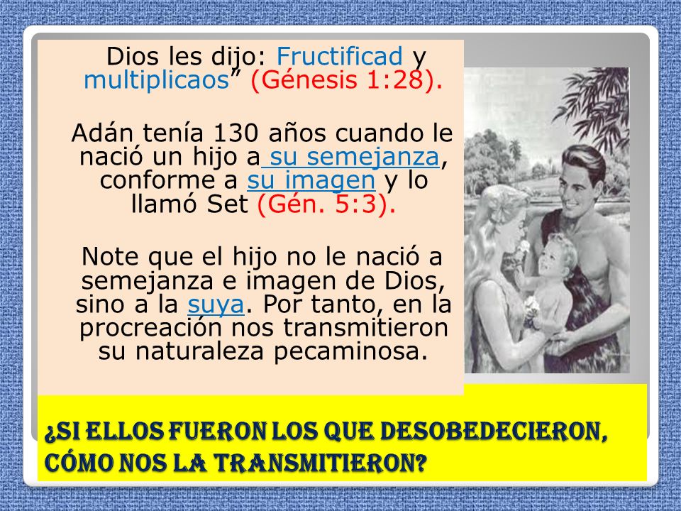 ¿Si ellos fueron los que desobedecieron, cómo nos la transmitieron