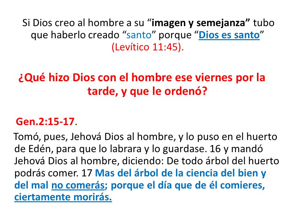Si Dios creo al hombre a su imagen y semejanza tubo que haberlo creado santo porque Dios es santo (Levítico 11:45).