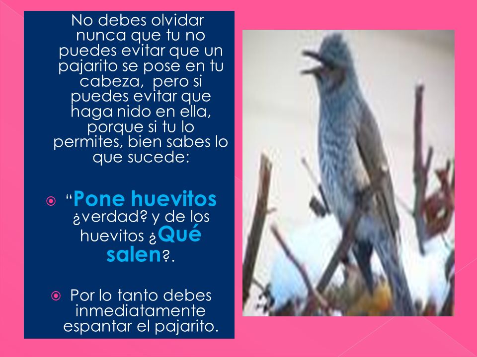 Pone huevitos ¿verdad y de los huevitos ¿Qué salen .
