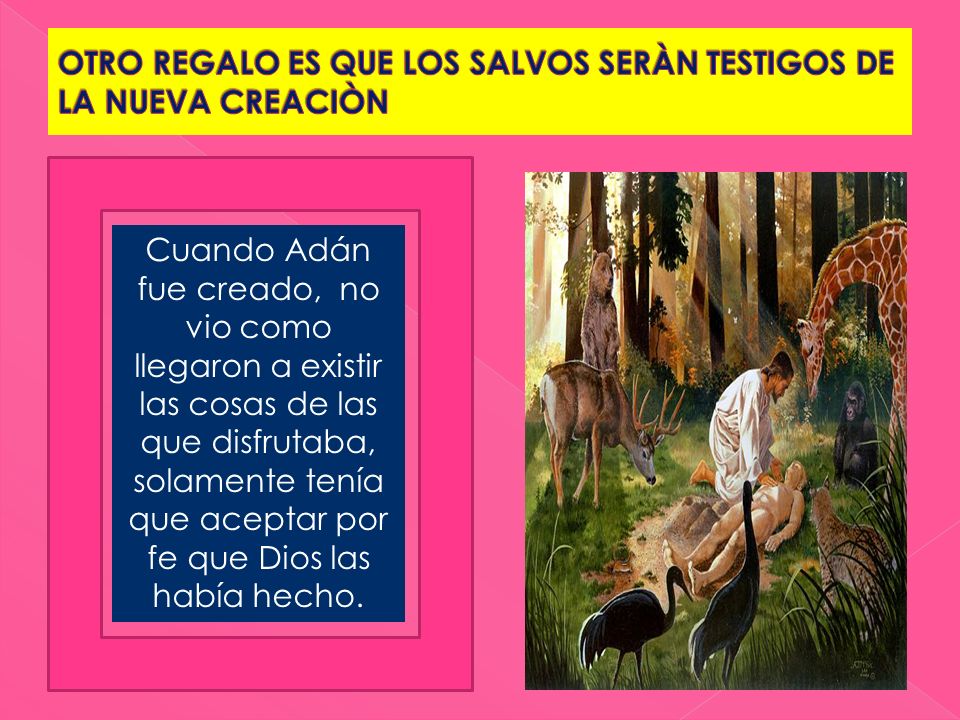OTRO REGALO ES QUE LOS SALVOS SERÀN TESTIGOS DE LA NUEVA CREACIÒN