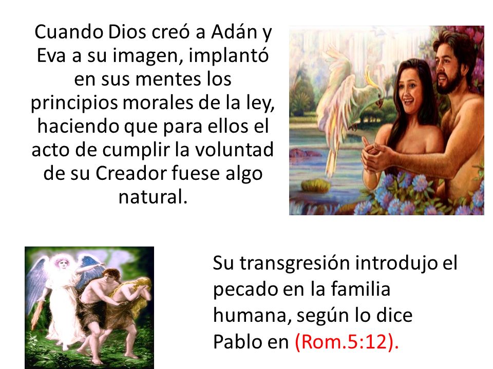 Cuando Dios creó a Adán y Eva a su imagen, implantó en sus mentes los principios morales de la ley, haciendo que para ellos el acto de cumplir la voluntad de su Creador fuese algo natural.