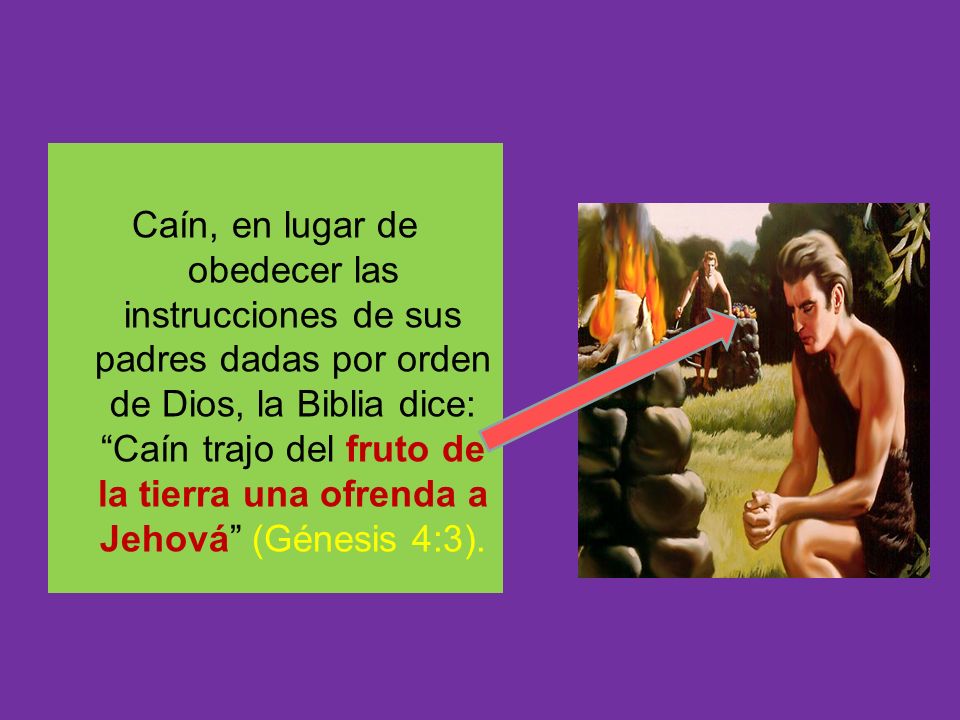 Caín, en lugar de obedecer las instrucciones de sus padres dadas por orden de Dios, la Biblia dice: Caín trajo del fruto de la tierra una ofrenda a Jehová (Génesis 4:3).