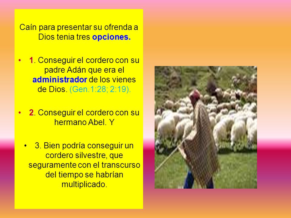 Caín para presentar su ofrenda a Dios tenia tres opciones.