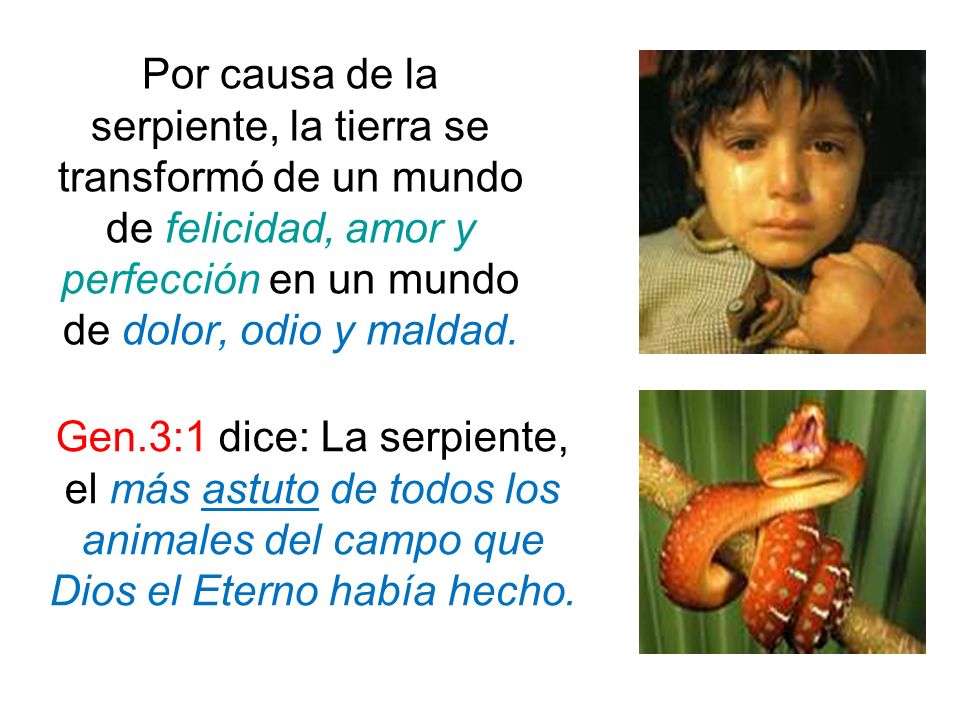 Por causa de la serpiente, la tierra se transformó de un mundo de felicidad, amor y perfección en un mundo de dolor, odio y maldad.