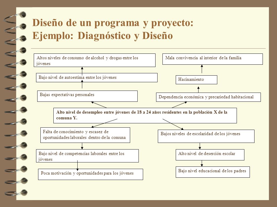Diseño de un programa y proyecto: Ejemplo: Diagnóstico y Diseño
