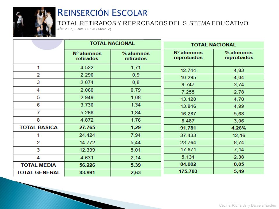 Reinserción Escolar TOTAL RETIRADOS Y REPROBADOS DEL SISTEMA EDUCATIVO AÑO 2007, Fuente: DIPLAP/ Mineduc)