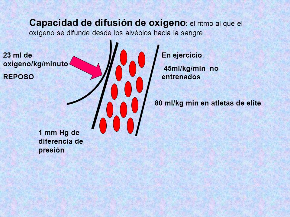Capacidad de difusión de oxígeno: el ritmo al que el oxígeno se difunde desde los alvéolos hacia la sangre.