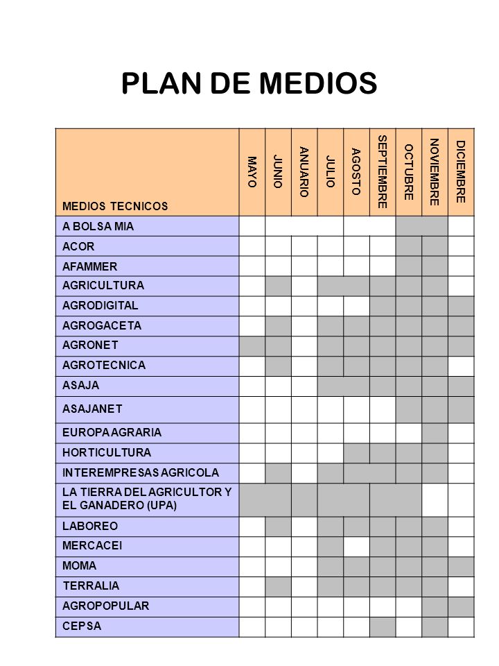 PLAN DE MEDIOS MEDIOS TECNICOS MAYO JUNIO ANUARIO JULIO AGOSTO
