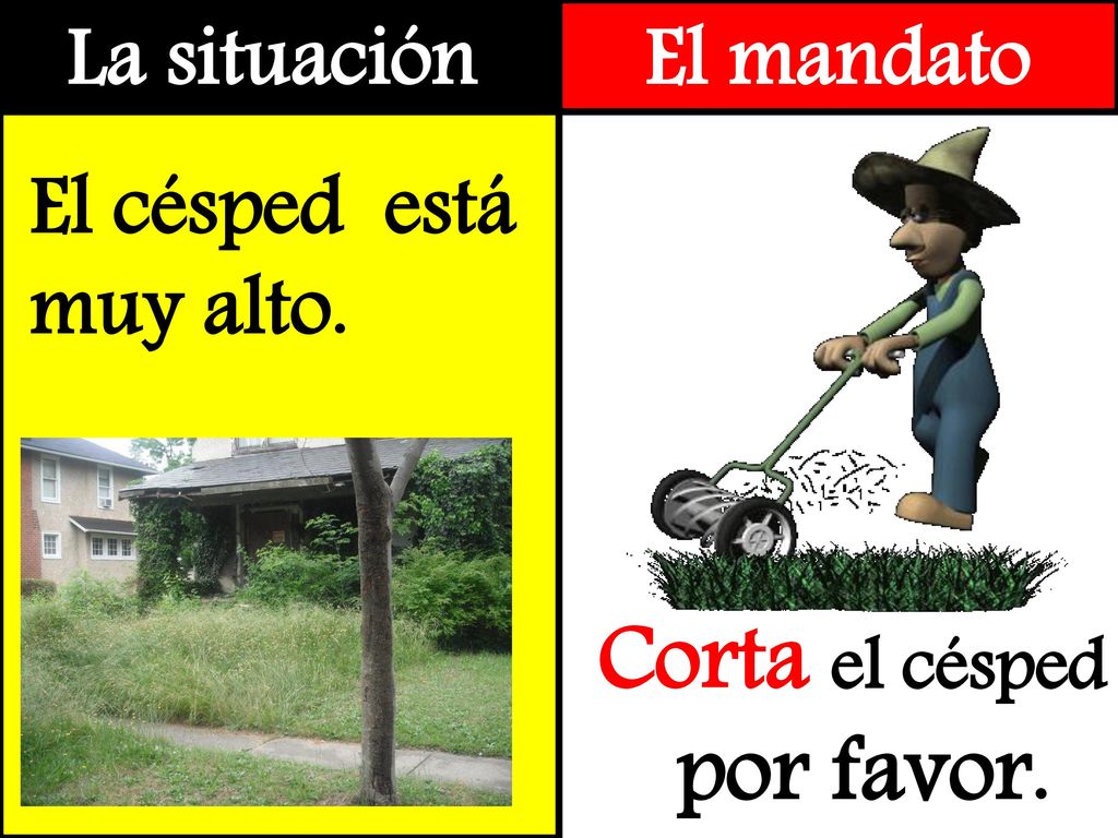 Corta el césped por favor.