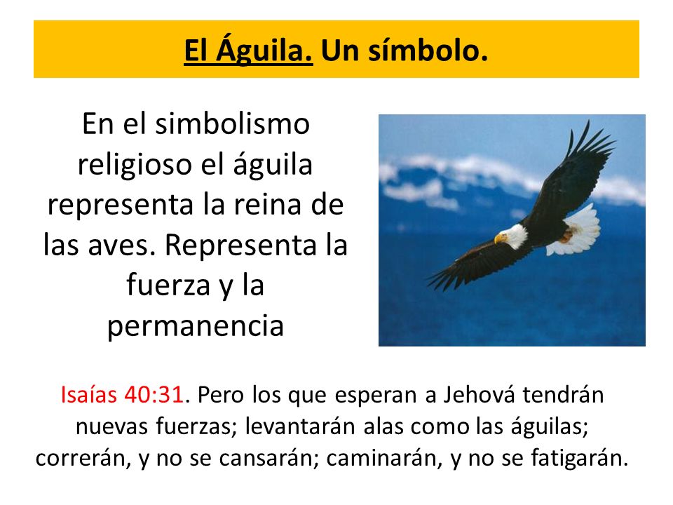 El Águila. Un símbolo. En el simbolismo religioso el águila representa la reina de las aves. Representa la fuerza y la permanencia.