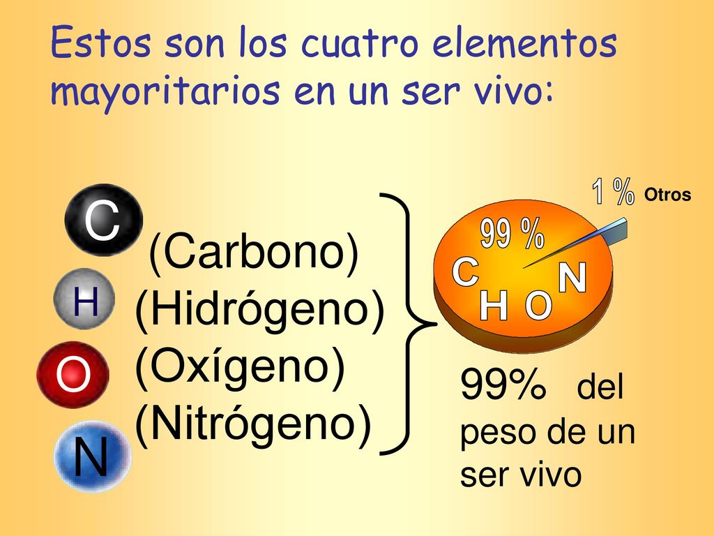 C N (Carbono) (Hidrógeno) (Oxígeno) (Nitrógeno) O