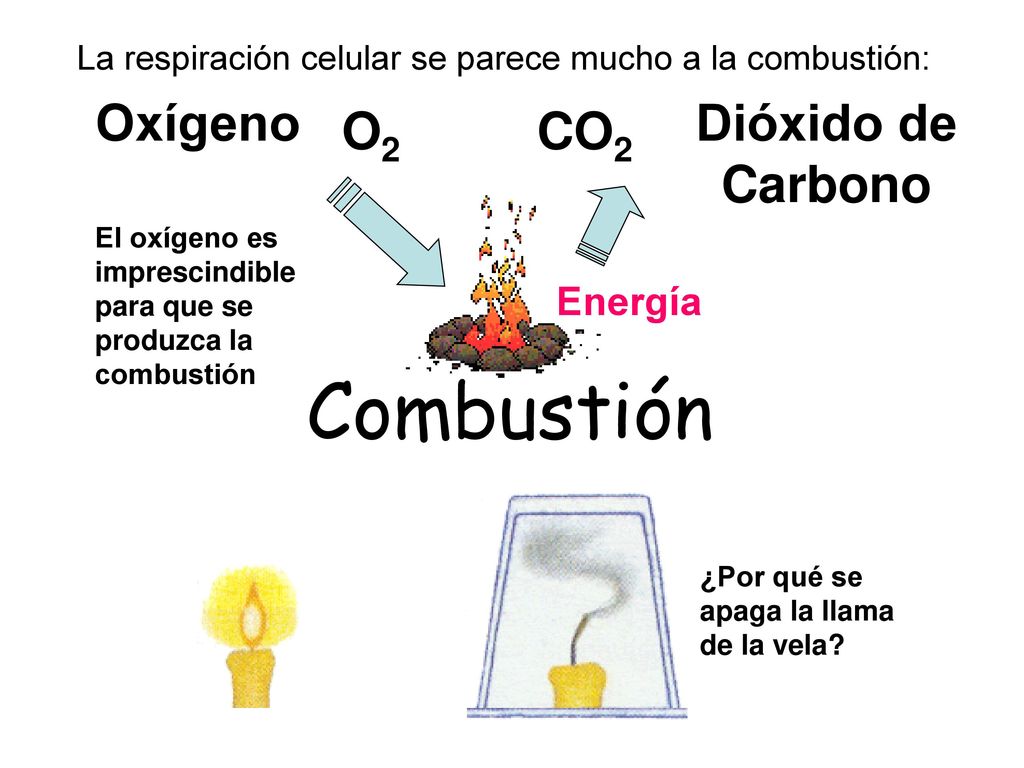 Combustión Oxígeno Dióxido de Carbono O2 CO2 Energía