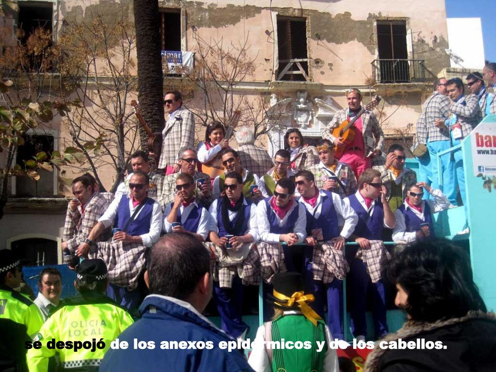 se despojó de los anexos epidérmicos y de los cabellos.