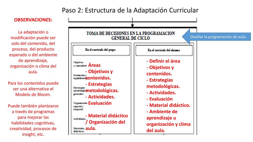 Paso 2: Estructura de la Adaptación Curricular