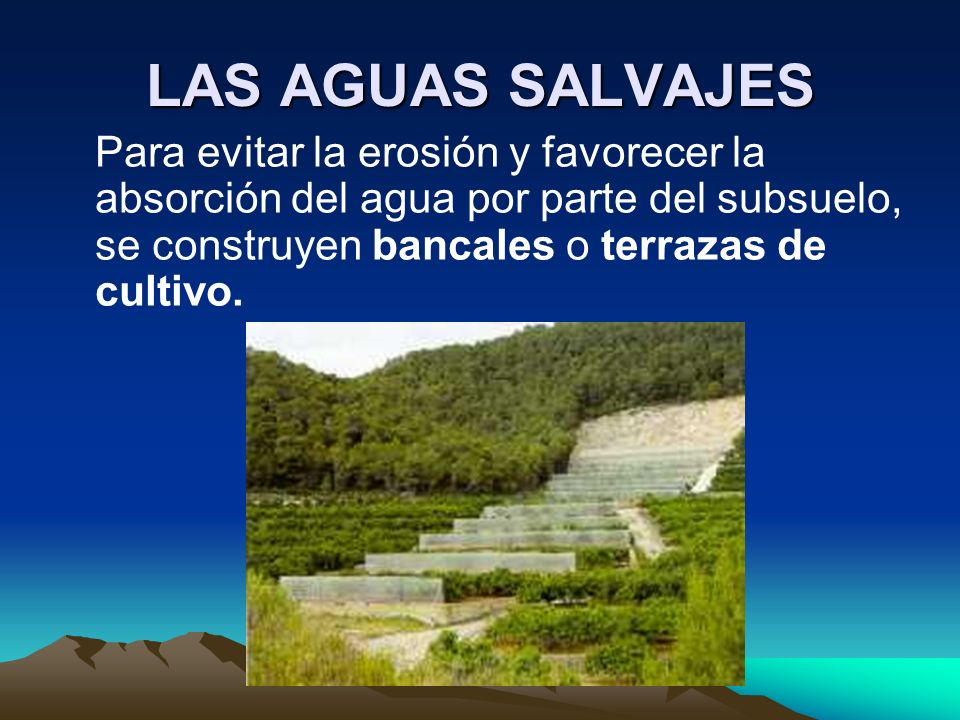 LAS AGUAS SALVAJES Para evitar la erosión y favorecer la absorción del agua por parte del subsuelo, se construyen bancales o terrazas de cultivo.
