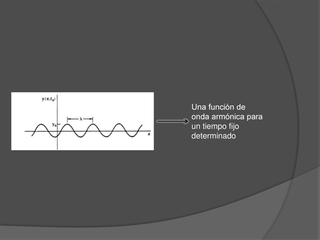 Una función de onda armónica para un tiempo fijo determinado