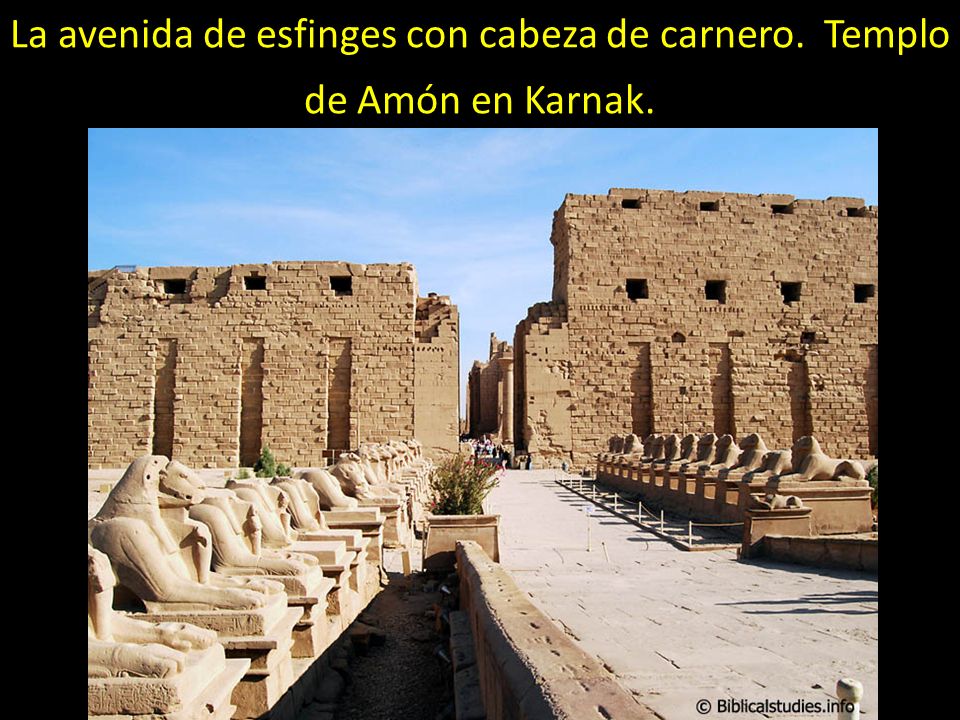 La avenida de esfinges con cabeza de carnero. Templo de Amón en Karnak.