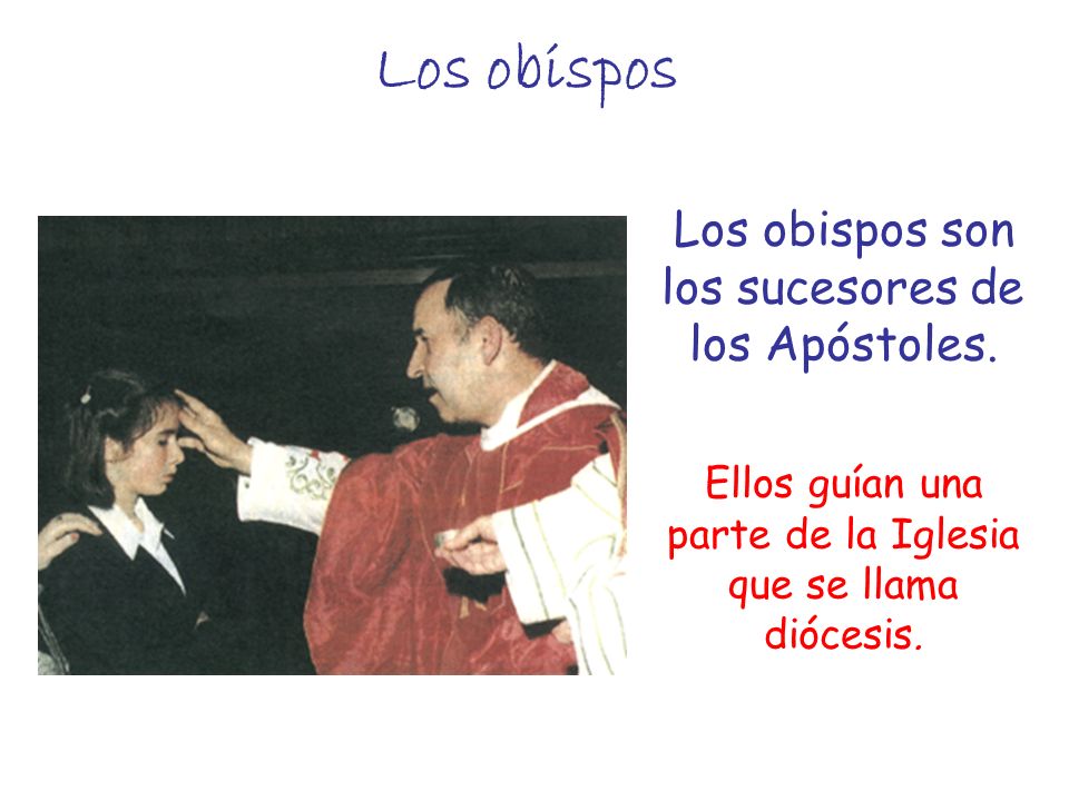 Los obispos Los obispos son los sucesores de los Apóstoles.
