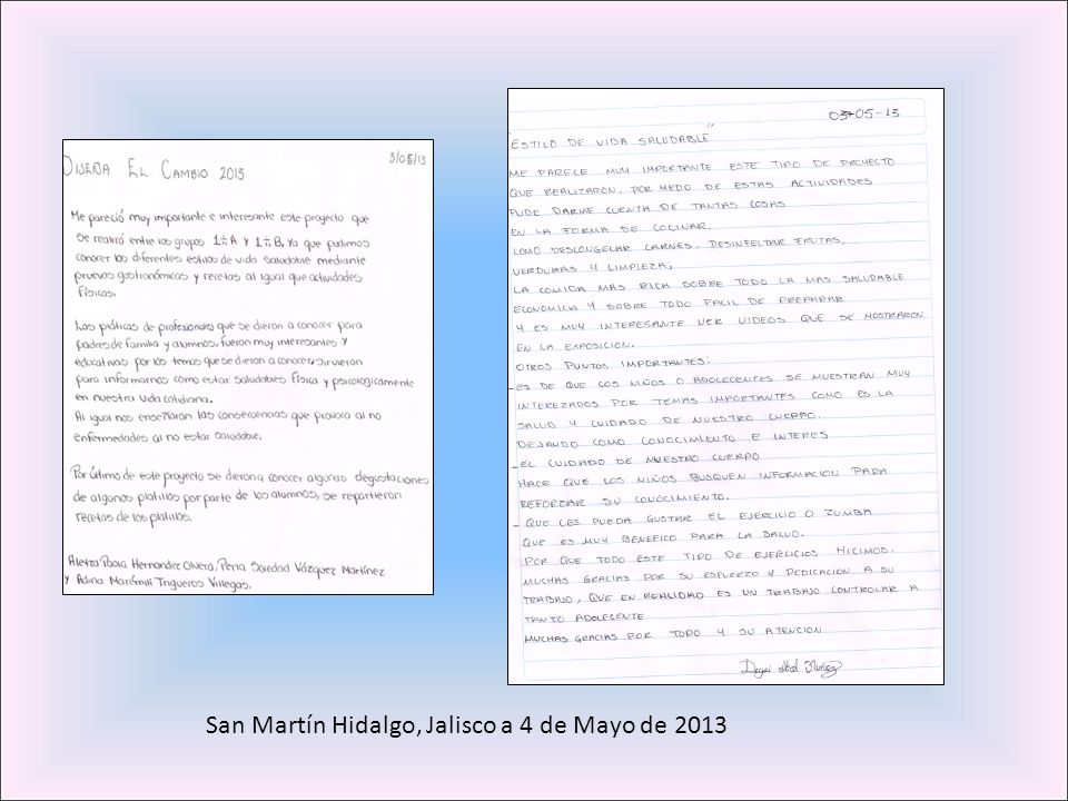 San Martín Hidalgo, Jalisco a 4 de Mayo de 2013
