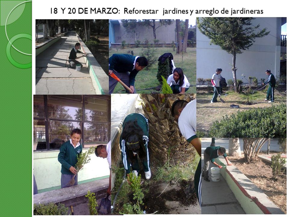 18 Y 20 DE MARZO: Reforestar jardines y arreglo de jardineras