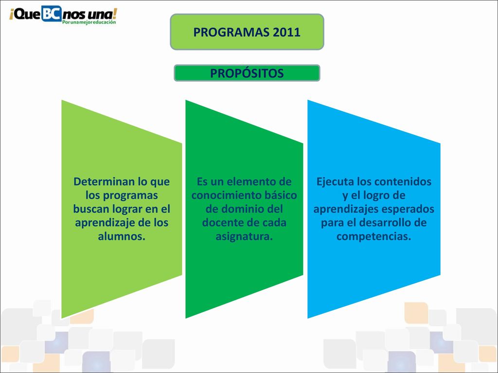 PROGRAMAS 2011 PROPÓSITOS. Determinan lo que los programas buscan lograr en el aprendizaje de los alumnos.