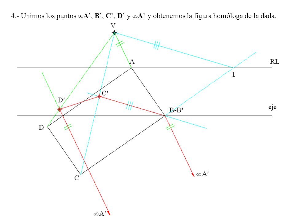 4.- Unimos los puntos ∞A’, B’, C’, D’ y ∞A’ y obtenemos la figura homóloga de la dada.