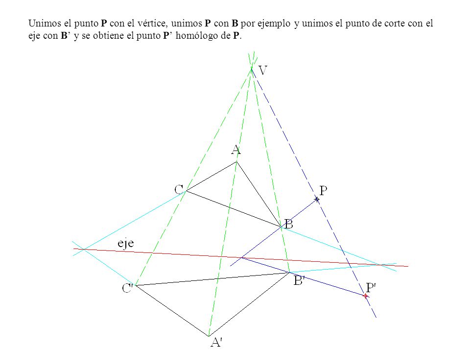 Unimos el punto P con el vértice, unimos P con B por ejemplo y unimos el punto de corte con el eje con B’ y se obtiene el punto P’ homólogo de P.