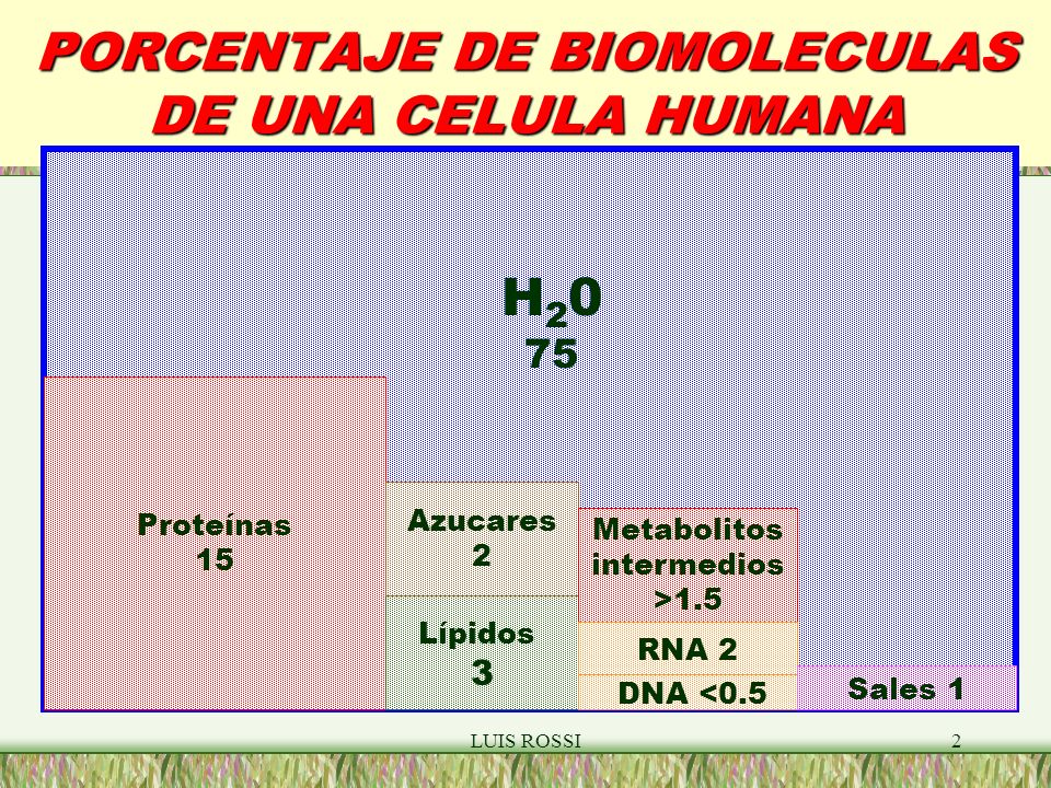 PORCENTAJE DE BIOMOLECULAS DE UNA CELULA HUMANA