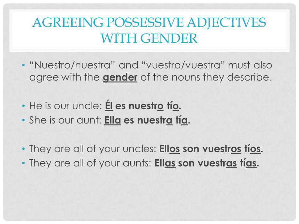 Agreeing Possessive Adjectives with Gender