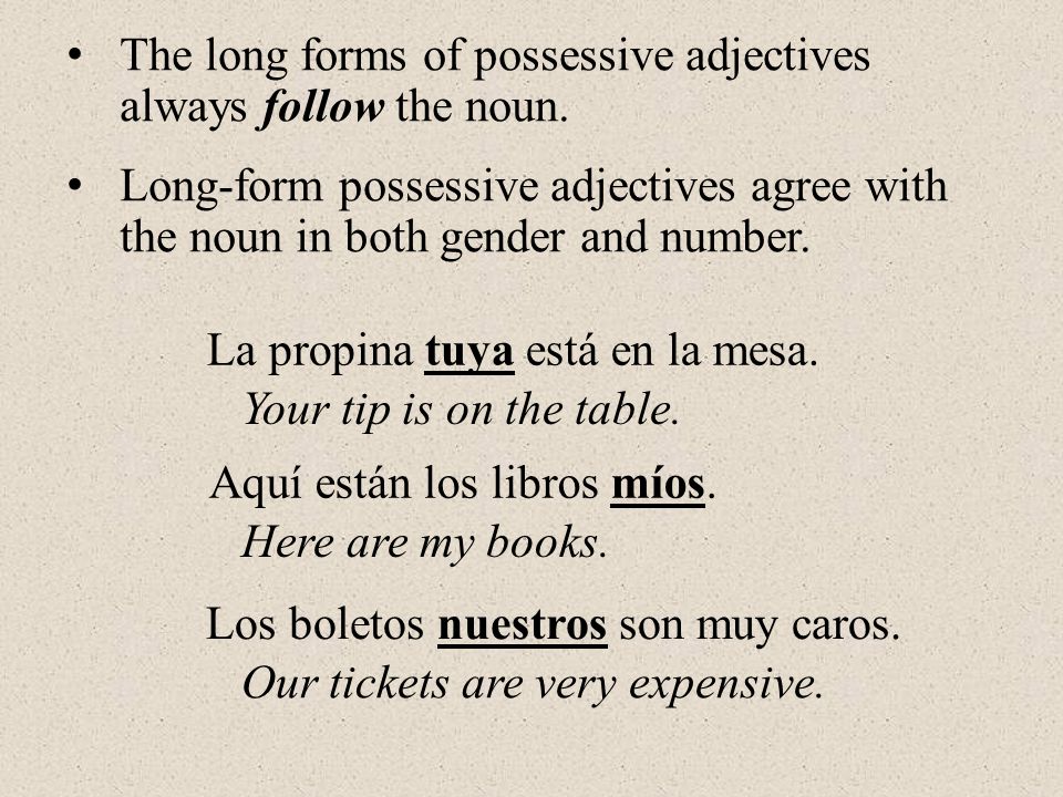 The long forms of possessive adjectives always follow the noun.