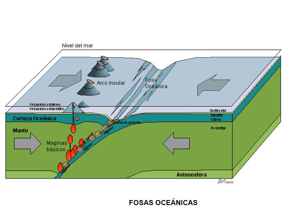 FOSAS OCEÁNICAS