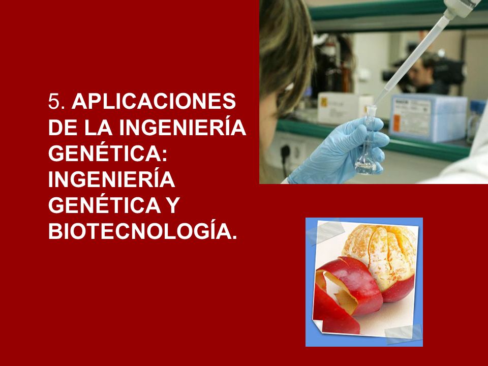 5. APLICACIONES DE LA INGENIERÍA GENÉTICA: INGENIERÍA GENÉTICA Y BIOTECNOLOGÍA.