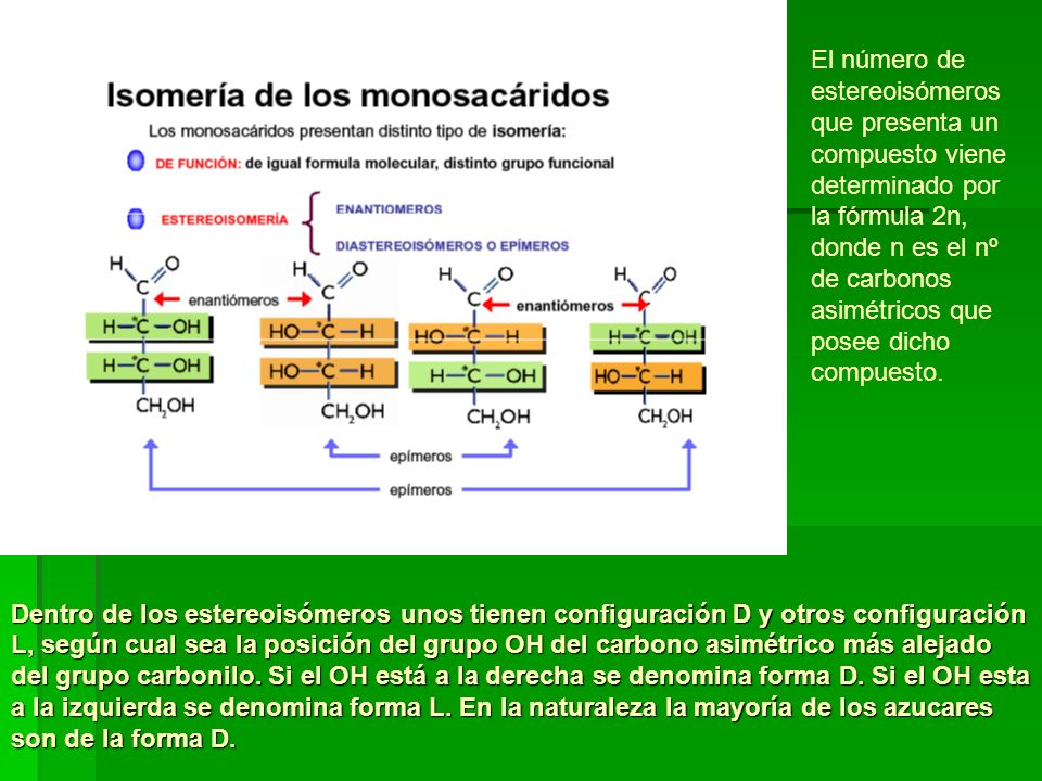 El número de estereoisómeros que presenta un compuesto viene determinado por la fórmula 2n, donde n es el nº de carbonos asimétricos que posee dicho compuesto.