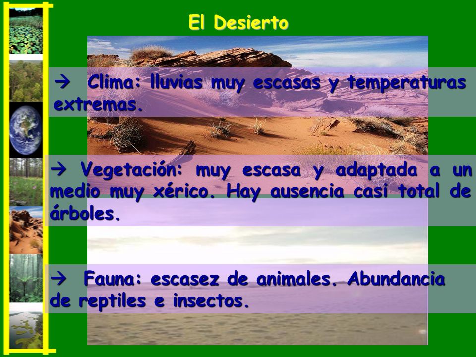 El Desierto  Clima: lluvias muy escasas y temperaturas extremas.
