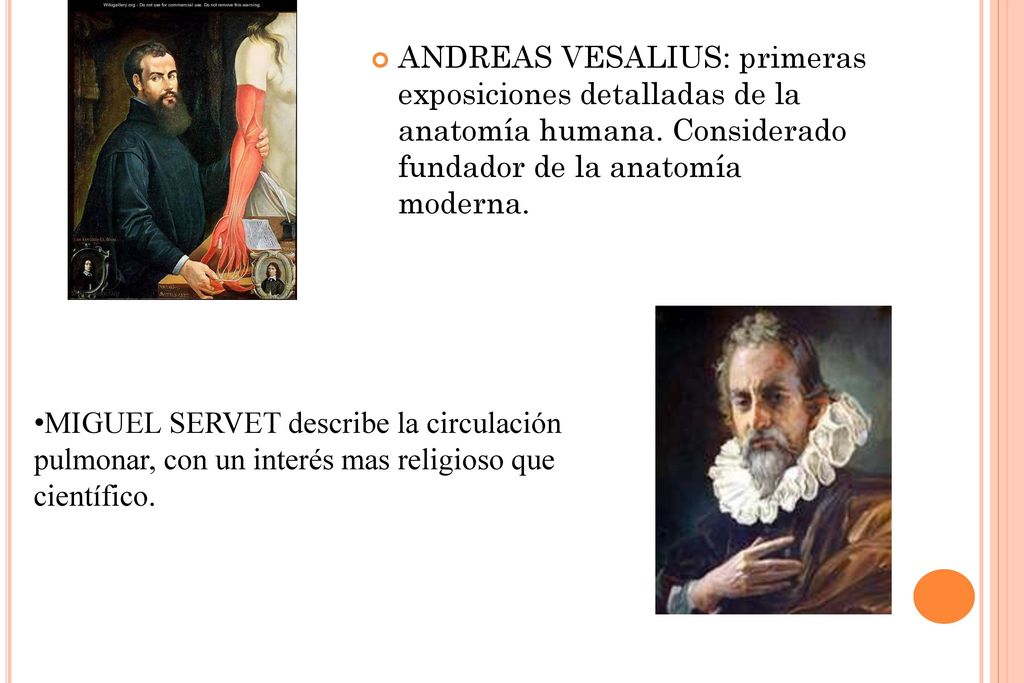 ANDREAS VESALIUS: primeras exposiciones detalladas de la anatomía humana. Considerado fundador de la anatomía moderna.