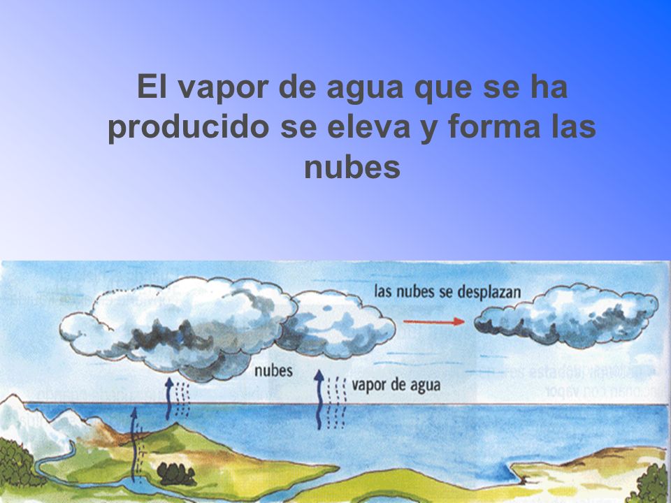 El vapor de agua que se ha producido se eleva y forma las nubes