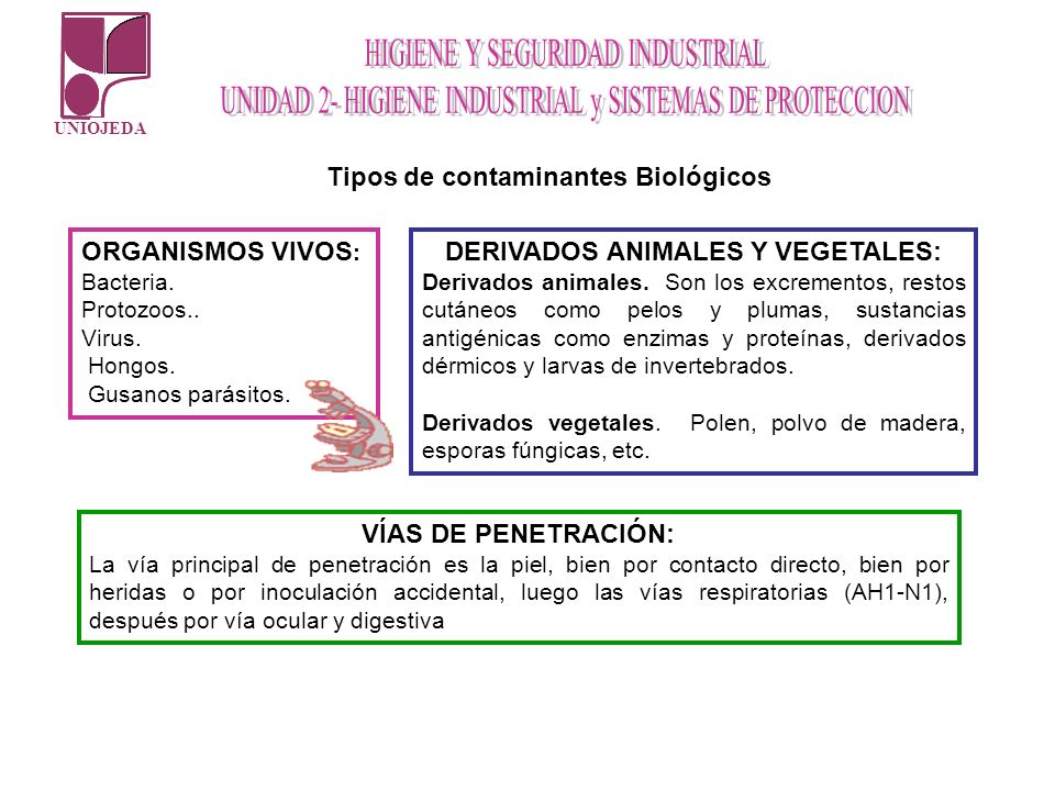Tipos de contaminantes Biológicos DERIVADOS ANIMALES Y VEGETALES: