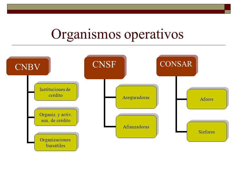 Organismos operativos