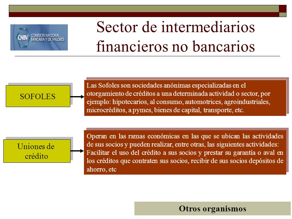 Sector de intermediarios financieros no bancarios