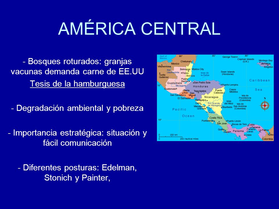AMÉRICA CENTRAL Bosques roturados: granjas vacunas demanda carne de EE.UU. Tesis de la hamburguesa.