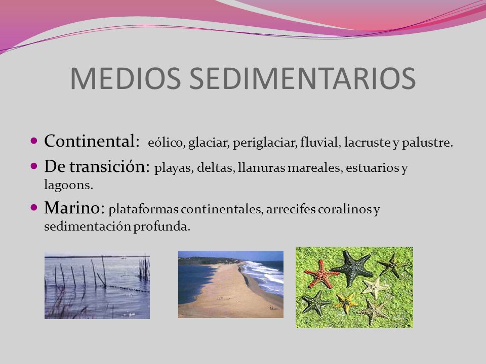 MEDIOS SEDIMENTARIOS Continental: eólico, glaciar, periglaciar, fluvial, lacruste y palustre.