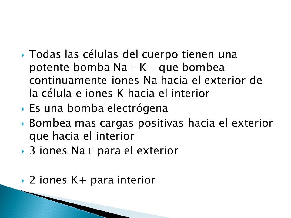 Todas las células del cuerpo tienen una potente bomba Na+ K+ que bombea continuamente iones Na hacia el exterior de la célula e iones K hacia el interior