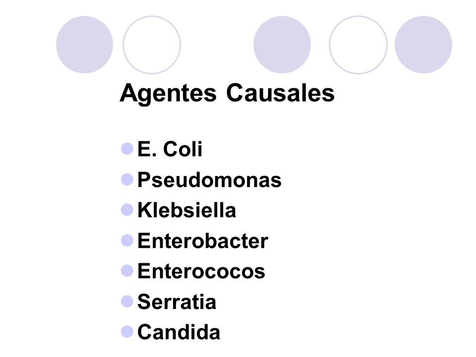 Agentes Causales E. Coli Pseudomonas Klebsiella Enterobacter