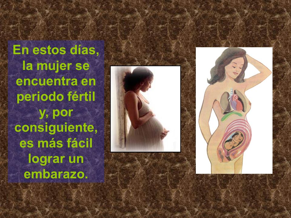 En estos días, la mujer se encuentra en periodo fértil y, por consiguiente, es más fácil lograr un embarazo.